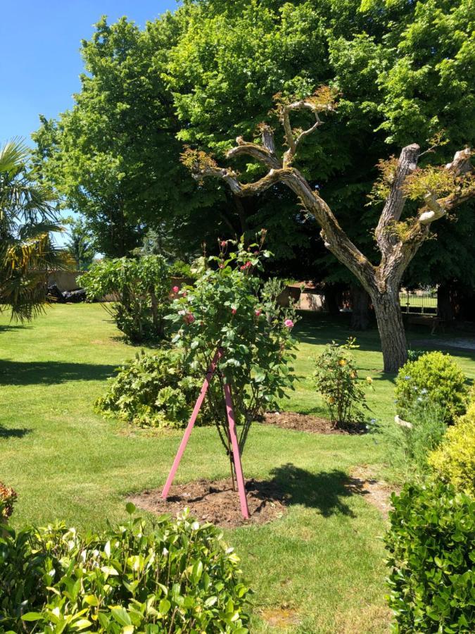 Barbezieux-Saint-Hilaire Chambres D Hotes Villa Anani Cosson Alex מראה חיצוני תמונה