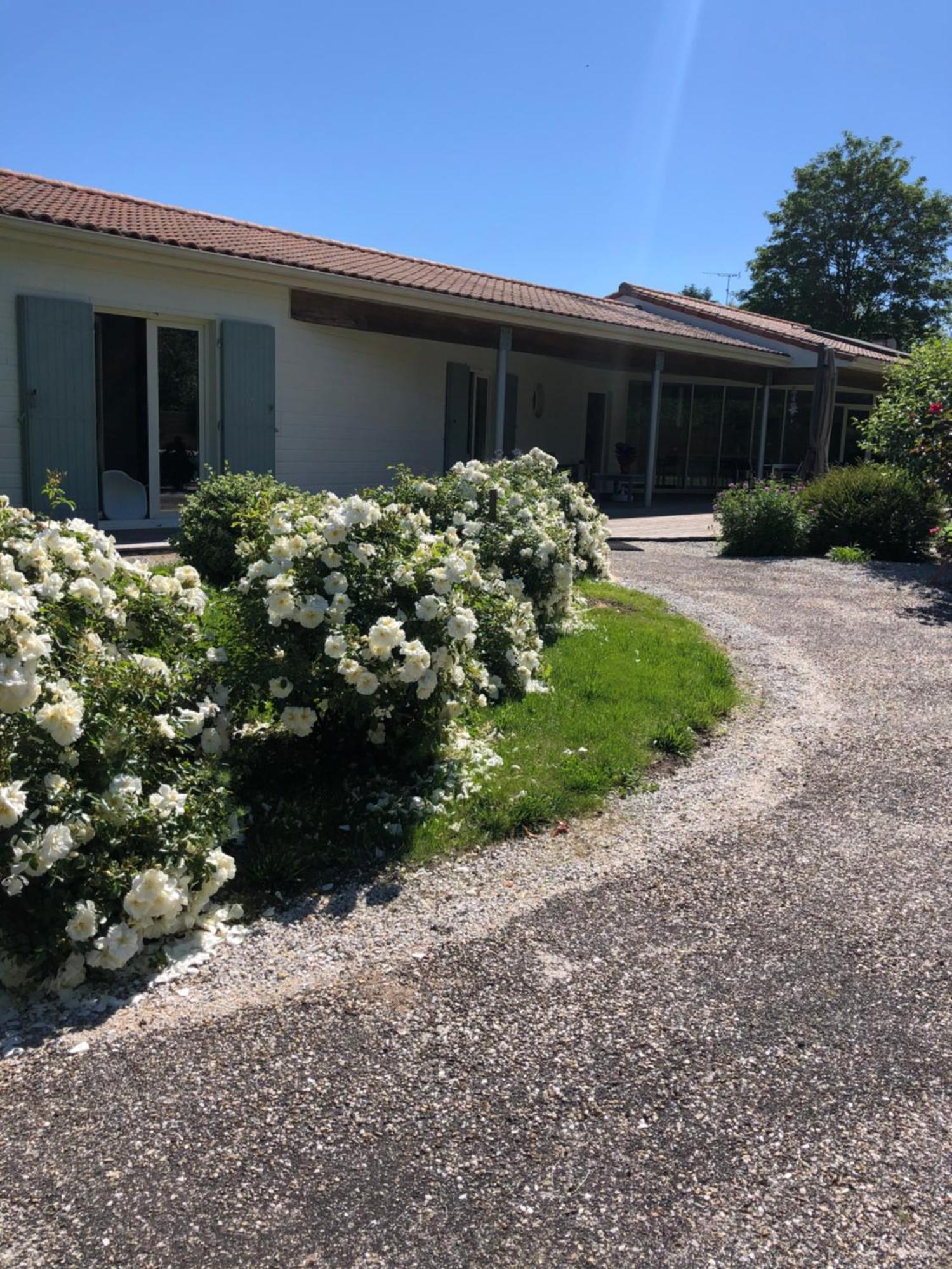 Barbezieux-Saint-Hilaire Chambres D Hotes Villa Anani Cosson Alex מראה חיצוני תמונה